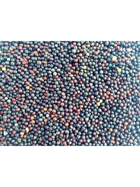 Şalgam Tohumu 50 GR