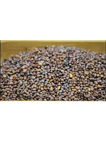 Turp Tohumu Siyah 500 GR