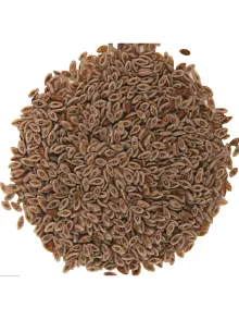 Karnıyarık Tohumu