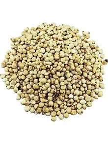 Sorgum Tohumu-cin Elması 500 GR