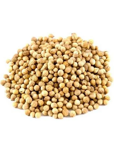 Kişniş Tane %1,5 Analiz İthal İri 500 GR