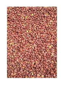 Sumak Tane 500 GR