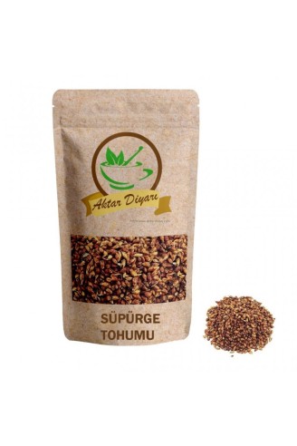 Süpürge Otu Tohumu