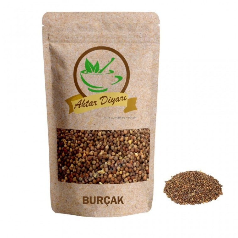 Burçak Tohumu