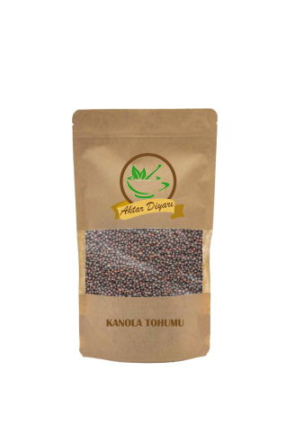 Kanola Tohumu