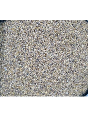 Susam Kabuklu- Susam Susam Kabuklu- Susam