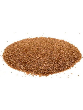 Teff Tohumu