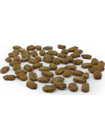 Kudret Narı Tohumu Kudret Narı Tohumu