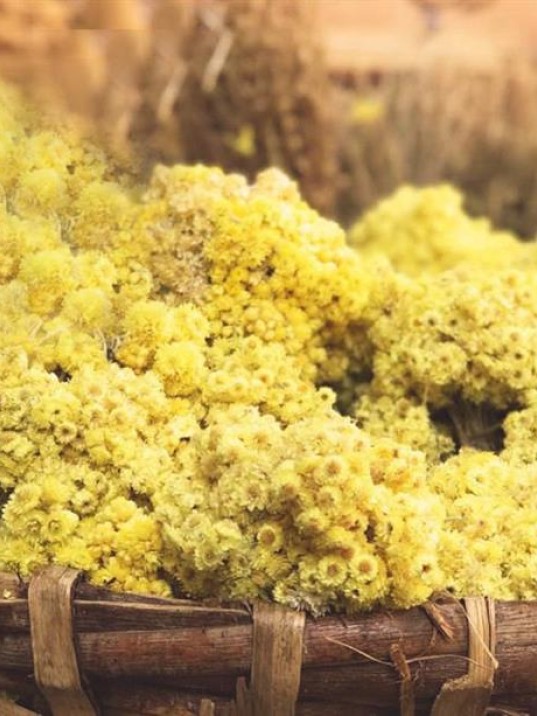 Sarı Solmaz Demet Kg Sarı Solmaz Demet Kg