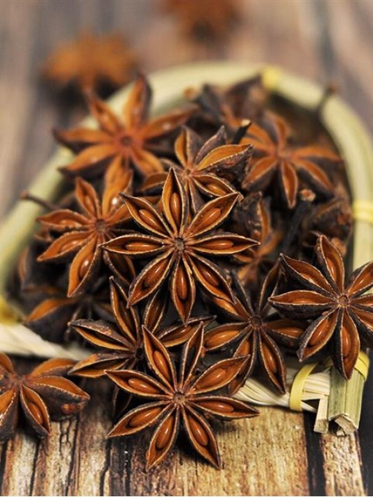 Yıldız Anason Yıldız Anason