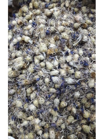 Peygamber çiçeği-mavi Kantaron Peygamber çiçeği-mavi Kantaron