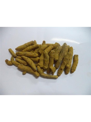 Zerdeçal Tane Hindistan Zerdeçal Tane Hindistan