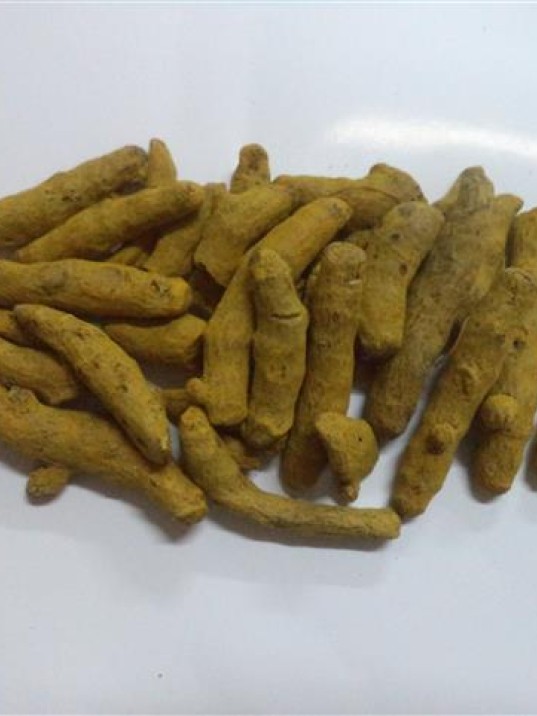 Zerdeçal Tane Hindistan Zerdeçal Tane Hindistan