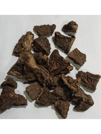 Tavşan Kulağı-siklamen Kökü-domuz Turbu Kurusu Tavşan Kulağı-siklamen Kökü-domuz Turbu Kurusu