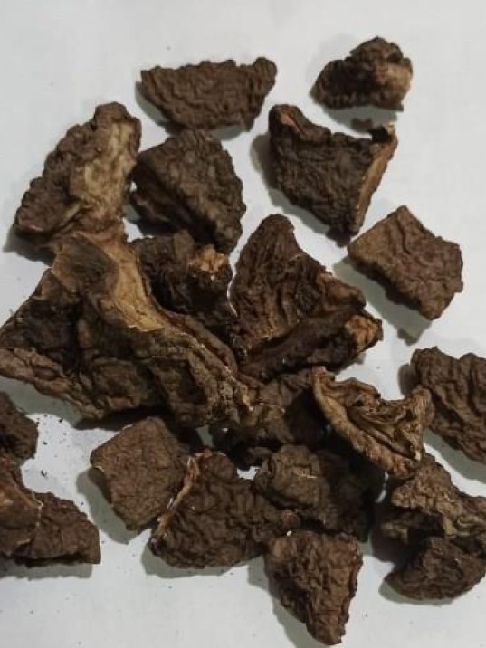 Tavşan Kulağı-siklamen Kökü-domuz Turbu Kurusu Tavşan Kulağı-siklamen Kökü-domuz Turbu Kurusu