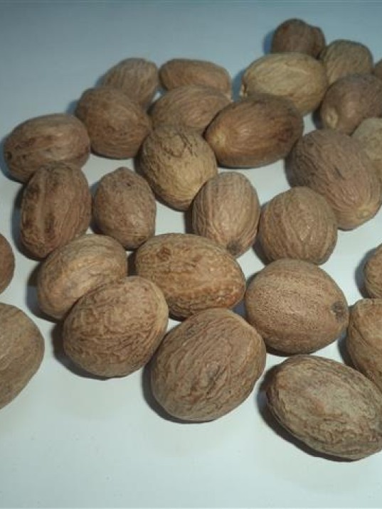Muskat-hint Cevizi Muskat-hint Cevizi