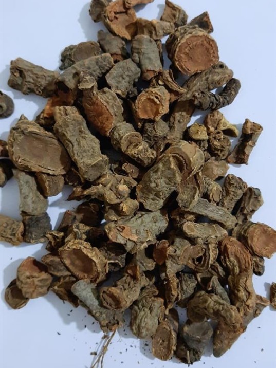 Centiyane-yılan Otu Kökü Centiyane-yılan Otu Kökü