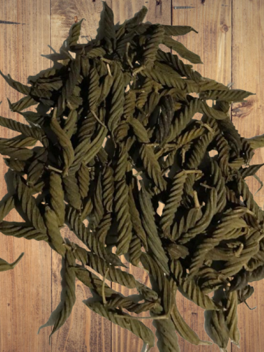 çarkıfelek-passiflora çarkıfelek-passiflora