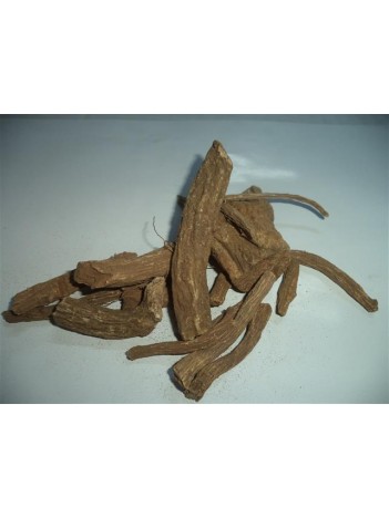 Udi Hindi-kusti Bahri- Hint Buhuru Udi Hindi-kusti Bahri- Hint Buhuru