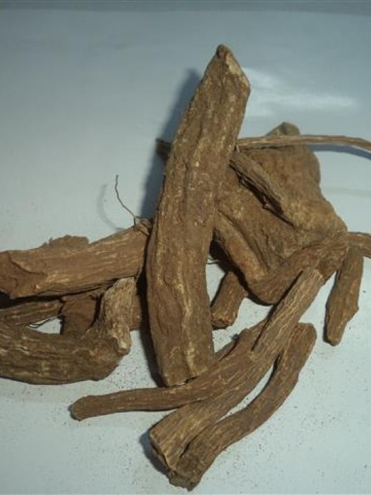 Udi Hindi-kusti Bahri- Hint Buhuru Udi Hindi-kusti Bahri- Hint Buhuru