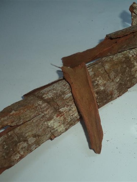 Kına Kına (çöp-içini) Kına Kına (çöp-içini)