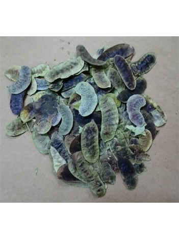 Aşlık Otu-açlık Otu Aşlık Otu-açlık Otu