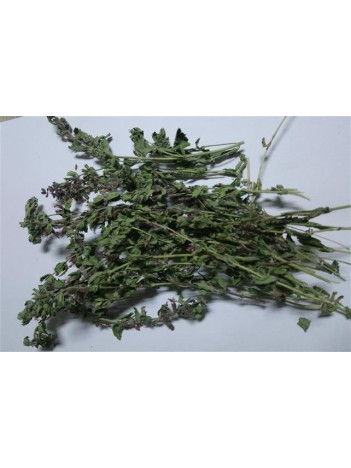 çıban Otu-kırmızı Kısa Mahmut çıban Otu-kırmızı Kısa Mahmut