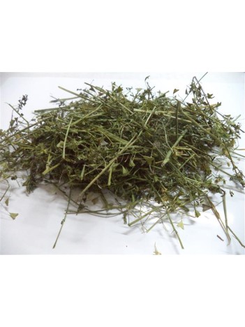 çoban çantası-çemberotu-civelek çoban çantası-çemberotu-civelek