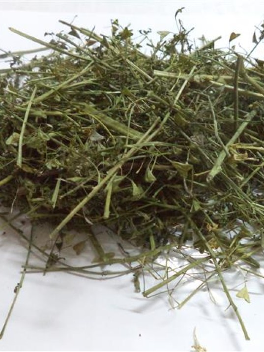 çoban çantası-çemberotu-civelek