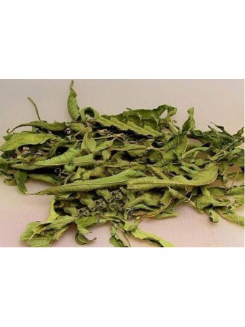 Melisa Limon Kültür Nakliye Hariç Melisa Limon Kültür Nakliye Hariç