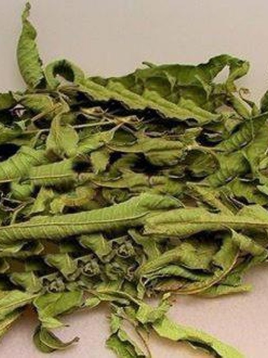 Melisa Limon Kültür Nakliye Hariç Melisa Limon Kültür Nakliye Hariç