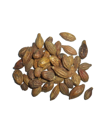 Sarıhalile Sarıhalile