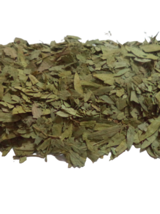 Sinameki Otu Sinameki Otu