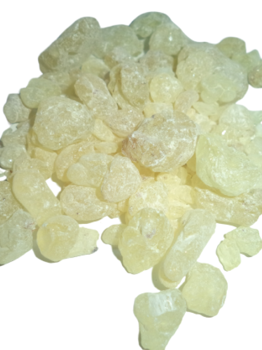 Sandroz Sakızı Sandarağacı Sandroz Sakızı Sandarağacı