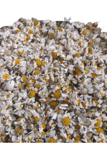 Papatya 2025 Tırmık