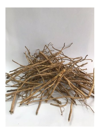 çin Geveni-astragalus çin Geveni-astragalus