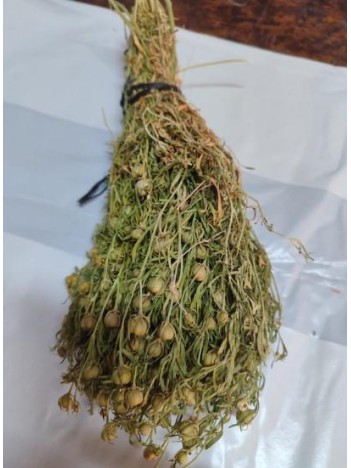 üzerlik Otu Demet Yeşil 2025 üzerlik Otu Demet Yeşil 2025