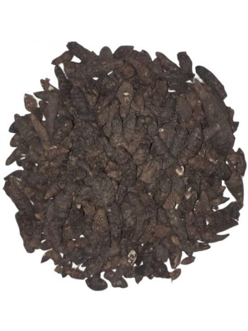 Topalak-kust-buhuru Meryem Topalak-kust-buhuru Meryem