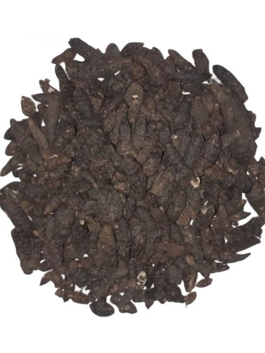 Topalak-kust-buhuru Meryem Topalak-kust-buhuru Meryem