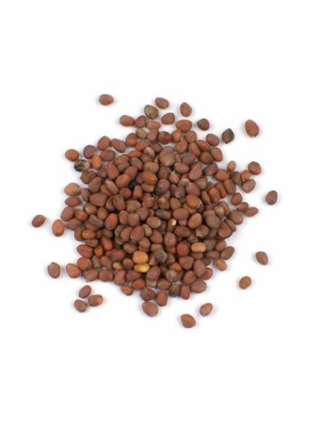 Turp Tohumu Kırmızı