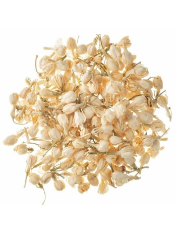 Yasemin çiçek Beyaz Tomurcuk Yasemin çiçek Beyaz Tomurcuk