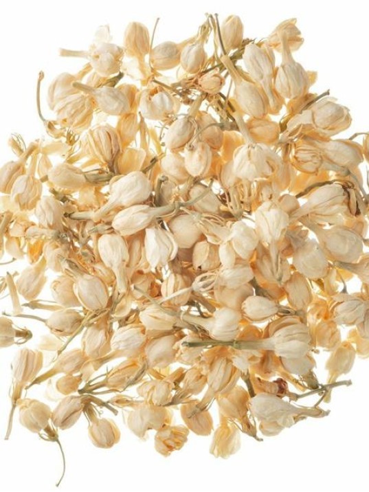 Yasemin çiçek Beyaz Tomurcuk