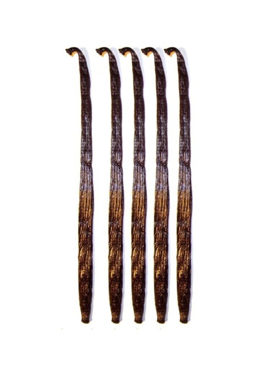 çubuk Vanilya çubuğu 14-16 Cm A Kalite 5 Adet çubuk Vanilya çubuğu 14-16 Cm A Kalite 5 Adet