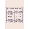 Karis Bayan Zirkon Taşlı Gümüş Su Yolu Set - Kolye, Bileklik, Küpe, Yüzük