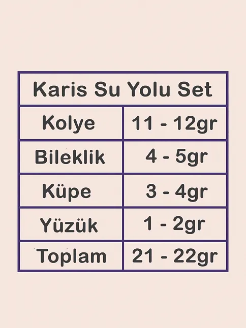 Karis Bayan Zirkon Taşlı Gümüş Su Yolu Set - Kolye, Bileklik, Küpe, Yüzük
