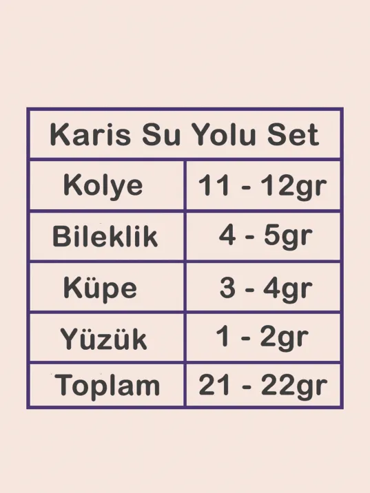 Karis Bayan Zirkon Taşlı Gümüş Su Yolu Set - Kolye, Bileklik, Küpe, Yüzük Karis Bayan Zirkon Taşlı Gümüş Su Yolu Set - Kolye, Bileklik, Küpe, Yüzük