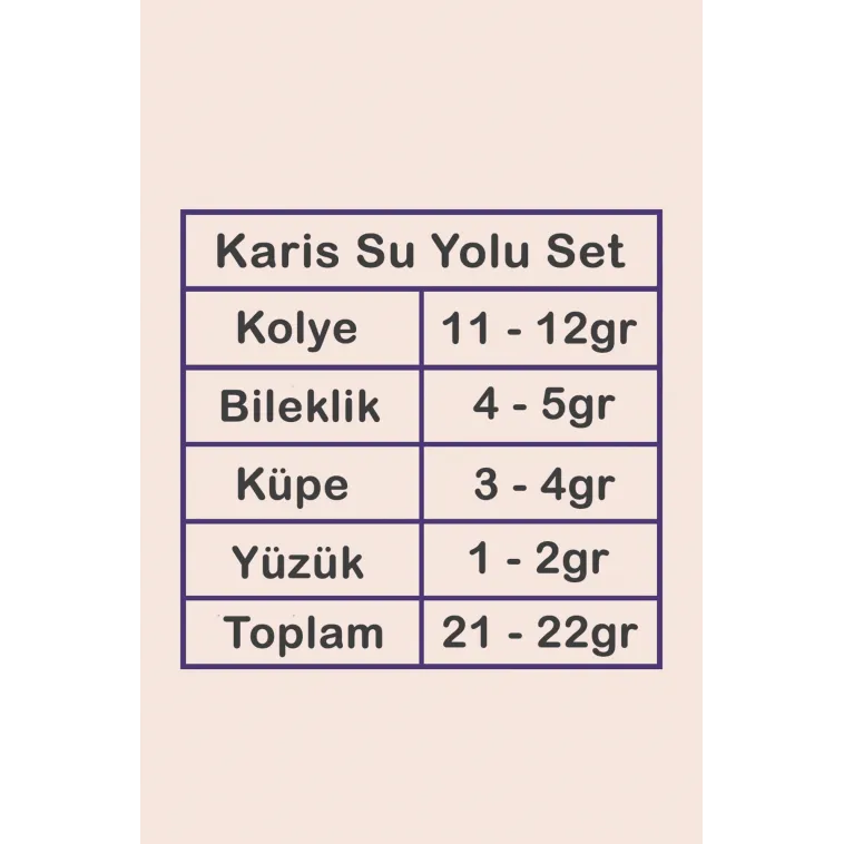 Karis Bayan Zirkon Taşlı Gümüş Su Yolu Set - Kolye, Bileklik, Küpe, Yüzük