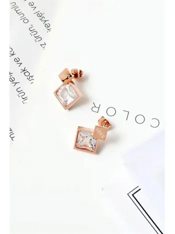 Delane Kararmayan Bayan Çelik Küpe Delane Kararmayan Bayan Çelik Küpe