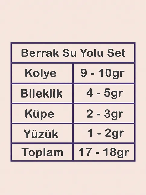 Berrak Bayan Zirkon Taşlı Gümüş Su Yolu Set - Kolye, Bileklik, Küpe, Yüzük