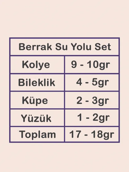 Berrak Bayan Zirkon Taşlı Gümüş Su Yolu Set - Kolye, Bileklik, Küpe, Yüzük Berrak Bayan Zirkon Taşlı Gümüş Su Yolu Set - Kolye, Bileklik, Küpe, Yüzük